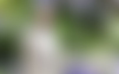 What does the King’s Coronation mean for environmental protection? 