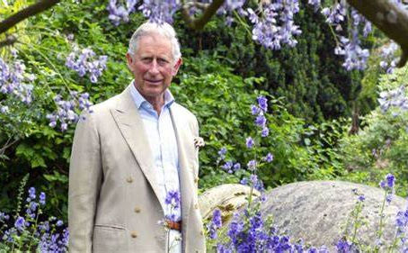 What does the King’s Coronation mean for environmental protection? 