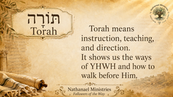 TORAH Image Aug 14, 2026, 12_07_12 PM (6)
