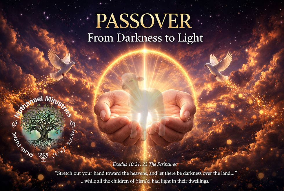 Passover - From Darkness to Light