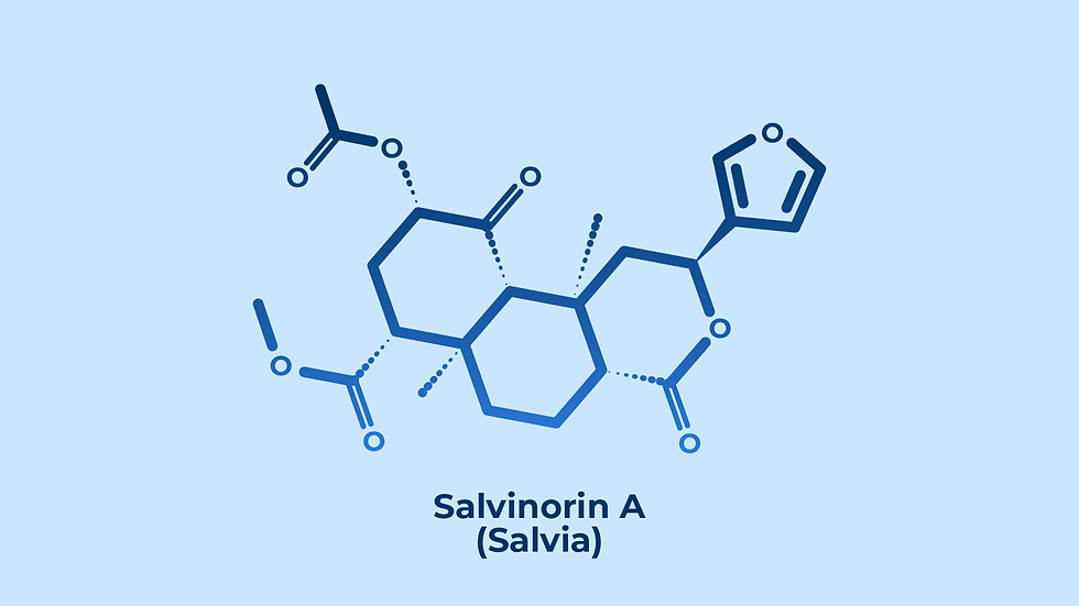 Salvia Drug Science salvia-drug-science