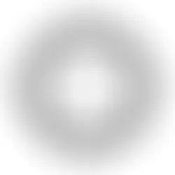 Company Blackpoint Logo