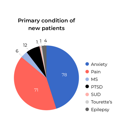 Chart on Primary conditions of new patients