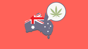 Medical Cannabis study Project Twenty21 begins in Australia