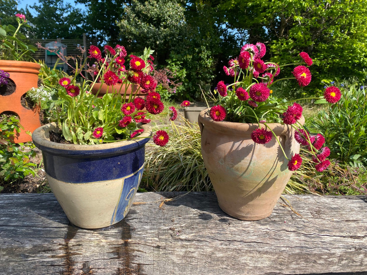 Gardening at Catching Lives Day Centre