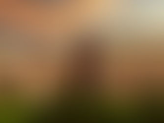 A roadmap for psychedelic pharmacy in Canada