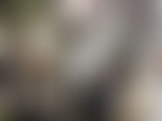 岩æåºåŒµã§ã座æ·ç«¥åã®å®¿ãã«å®¿æ³ãã瀟é·