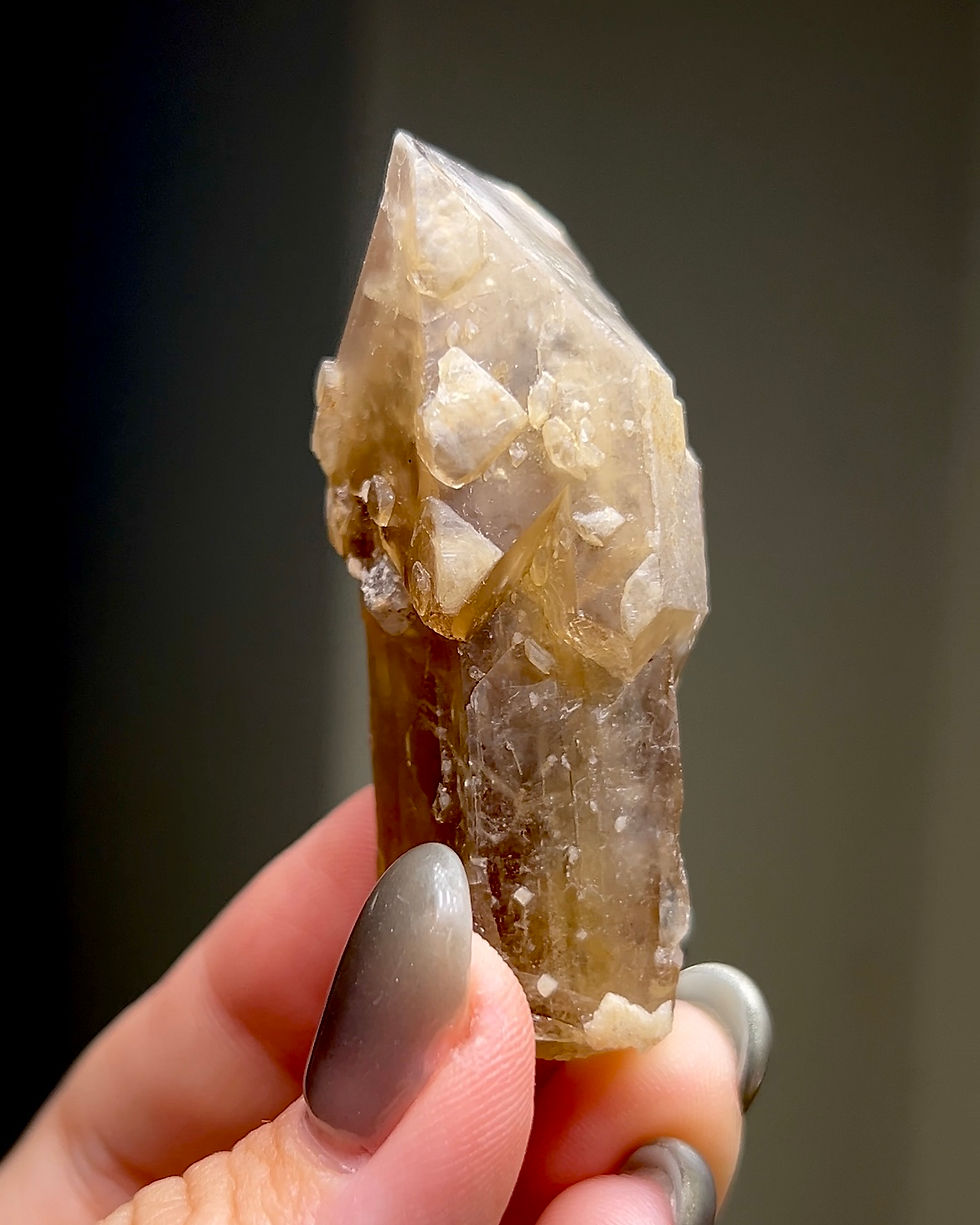 縮圖：法國重晶石單晶，有著清晰的晶體，有些標本帶有「權杖」的產狀，寶石般的晶體有如蜂蜜的色澤。