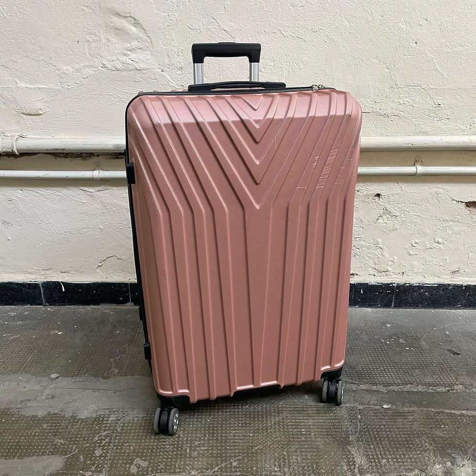 valija grande rosa