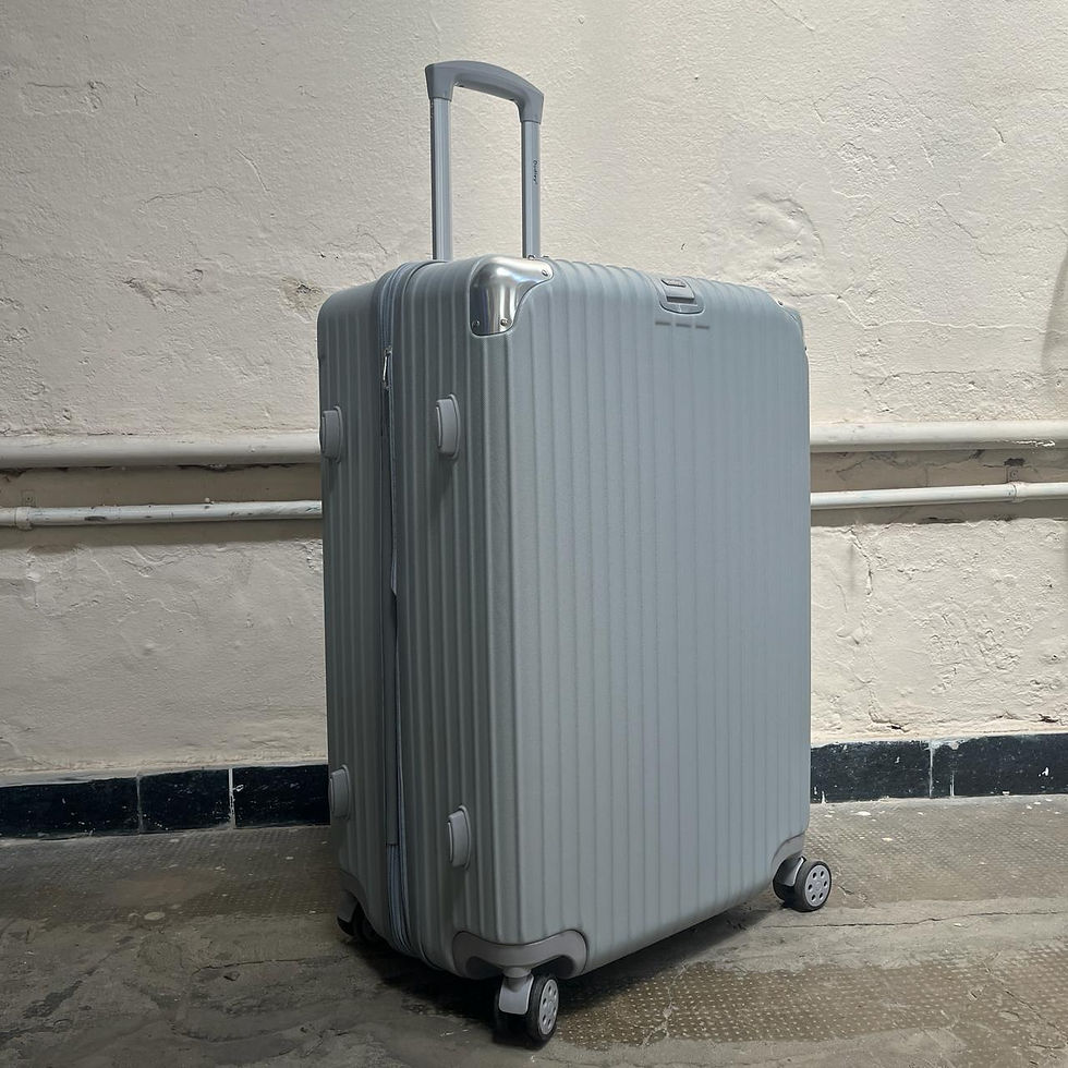 valija plateada grande