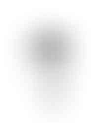 halloween tattoo flash skull bat vampire