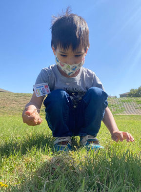 Little boy playing in the grass