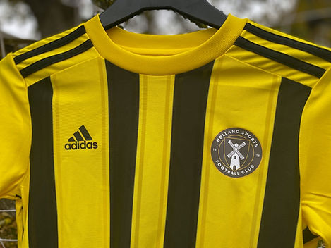Holland kit-04.jpg