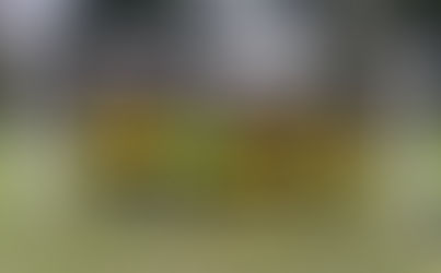 Victory Royale for U11 Lynx!