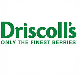 driscolls-logo_edited.jpg