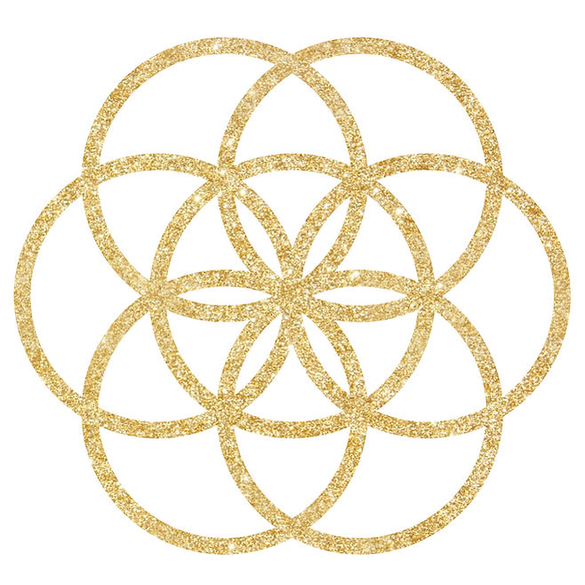 11501 STARSEED CIRCLE - AVATAR.JPG