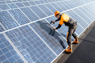 Custella Case Study: Pekat Solar