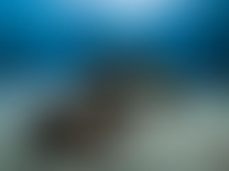 “Deep Sea Slumber” — FWG Flash Fiction for 6/21/2025