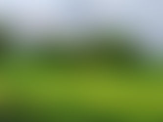 The Trouble With Turf -- FWG Flash Fiction for 1/14/2023