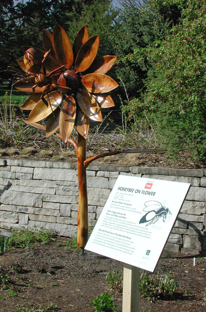 MN Arboretum OT (5).jpg