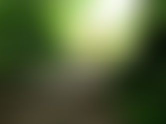 Energetische ondersteuning op je ondernemerspad