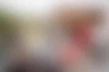 A cheerful group of kids posing outdoors at The Pink Falcon in Jaipur, enjoying a fun-filled summer day together.