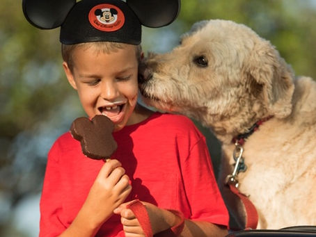 Dog-Friendly Resort Policy Continues at Select Walt Disney World Hotel