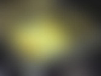 Cholesterol is GOOD for You!