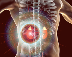 Can adrenal fatigue cause migraines? Or do migraines cause adrenal fatigue….