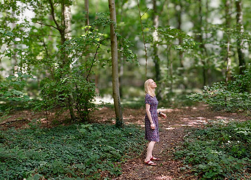 msinforest