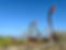 IMG_5566.jpeg
