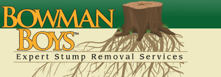 Bowman_Boys_web_logo.gif