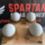Spartan Trophies