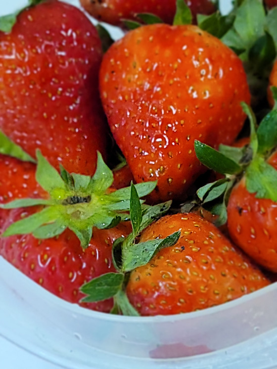 The strawberry harvest of 2022