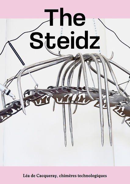 ARTICLE-THE-STEIDZ.jpg