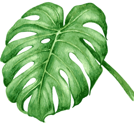 Tropical Leaves 7_edited_edited_edited.p