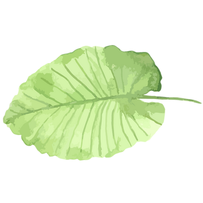 Tropical Leaves 1_edited_edited_edited.p