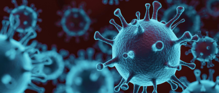 Covid-19 and its impact on food