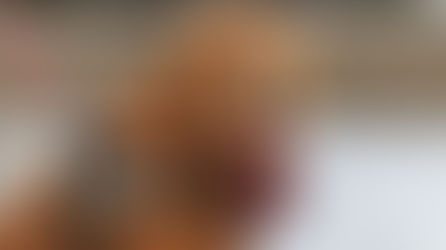 Mission Accomplished! Service Dog Purchased