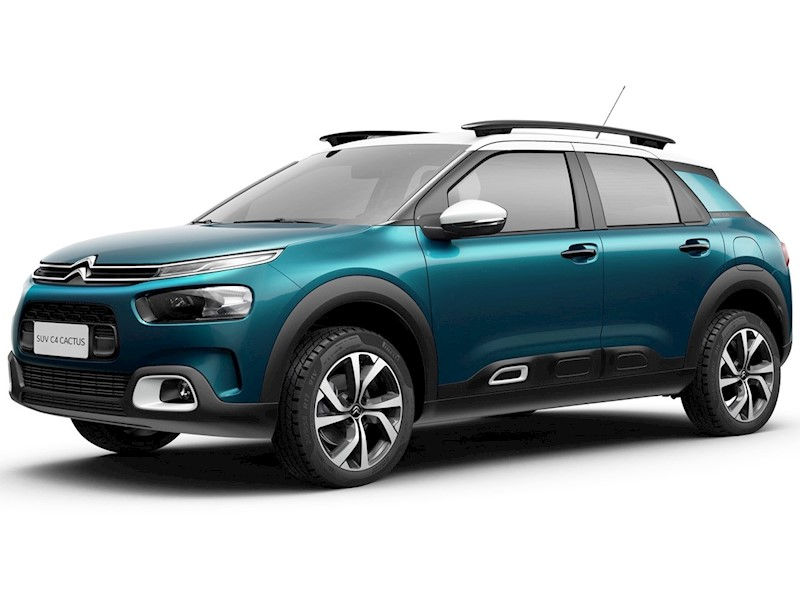 Miniatura: C4 Cactus