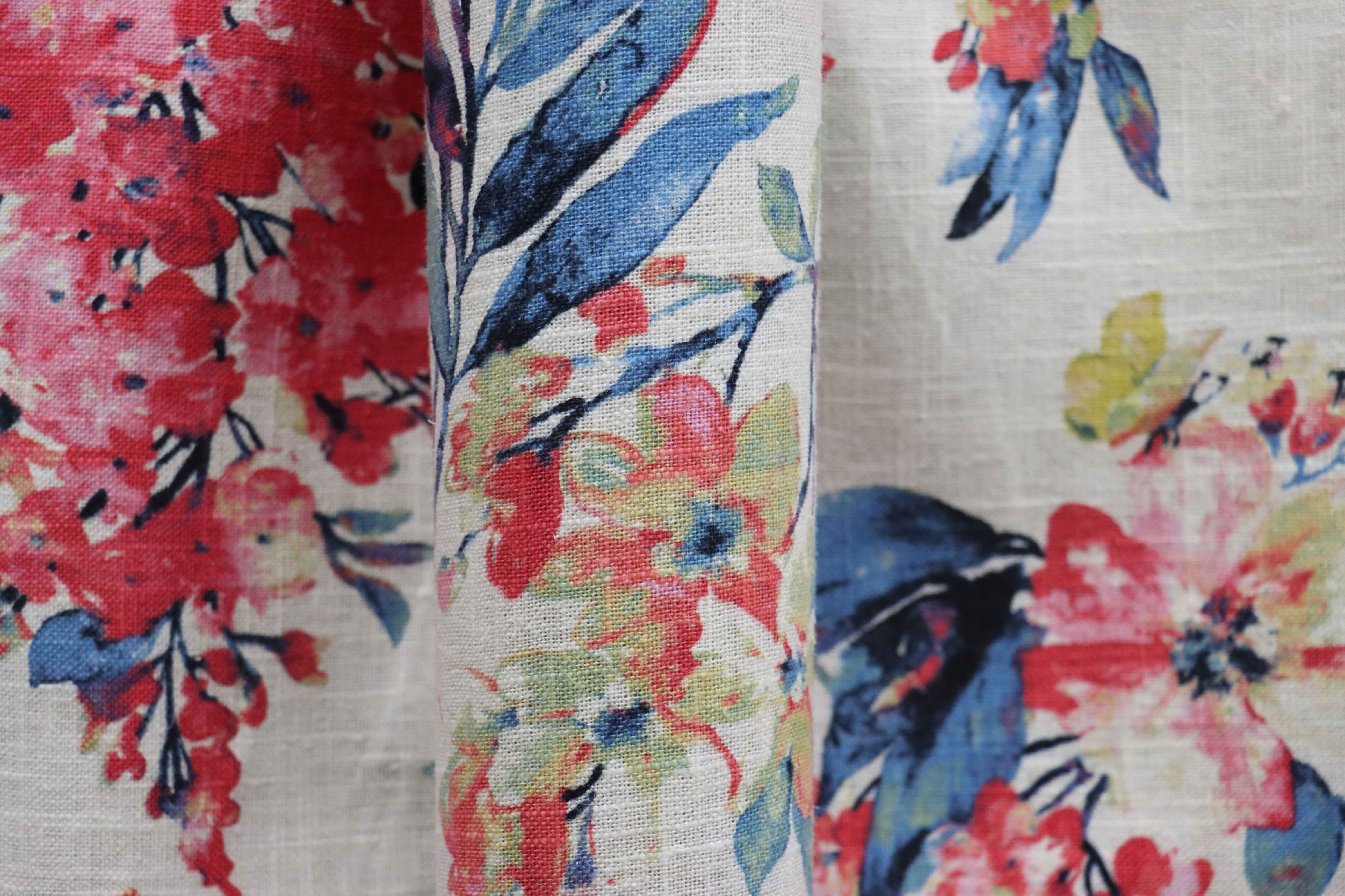 Summer Jays, Fuchsia