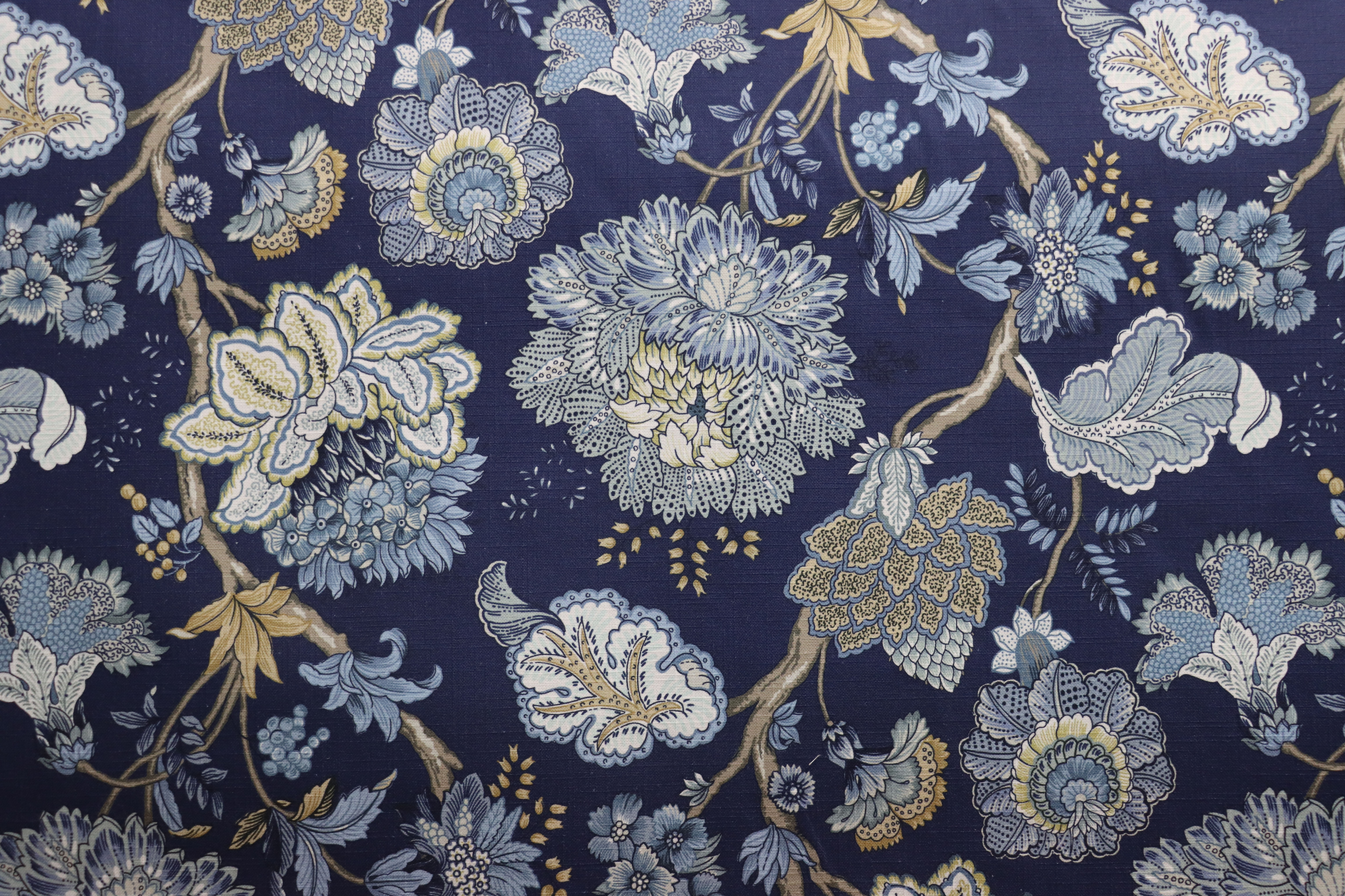 Carnation, Aquamarine