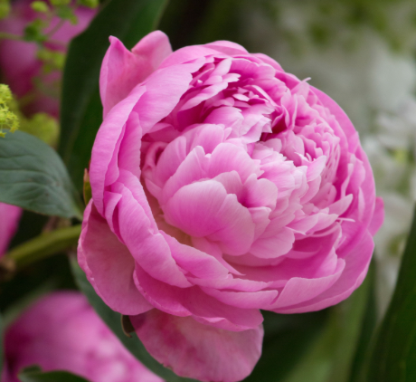 Screenshot 2025-10-25 at 12.47.59 PM.png