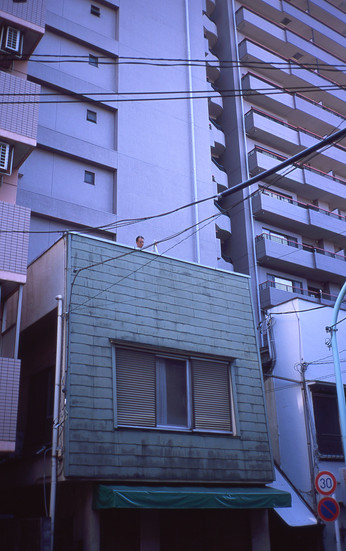 img245.jpg
