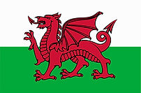 welsh-flag.jpg