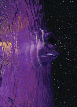 Portals II