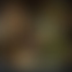 Smoke Medicine: Sacred Herbs, Ancient Traditions & Modern Soul Practices