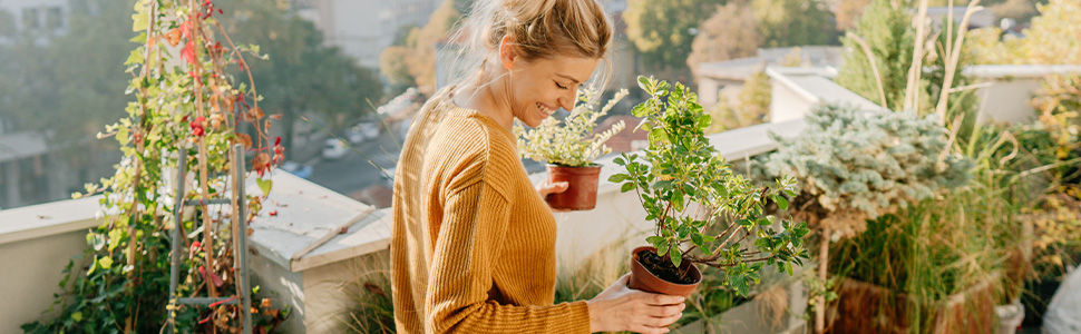 Thumbnail: Green Witchcraft: Plants, Herbs & Nature Magic Guide