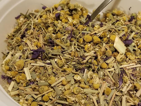 10 Healthy Herbal Teas You Should Try