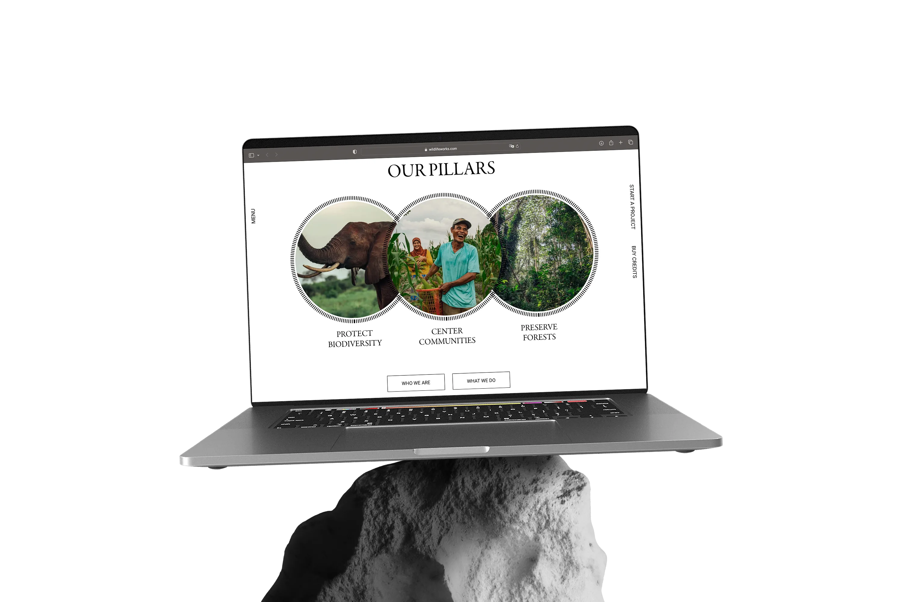 wildlife frame